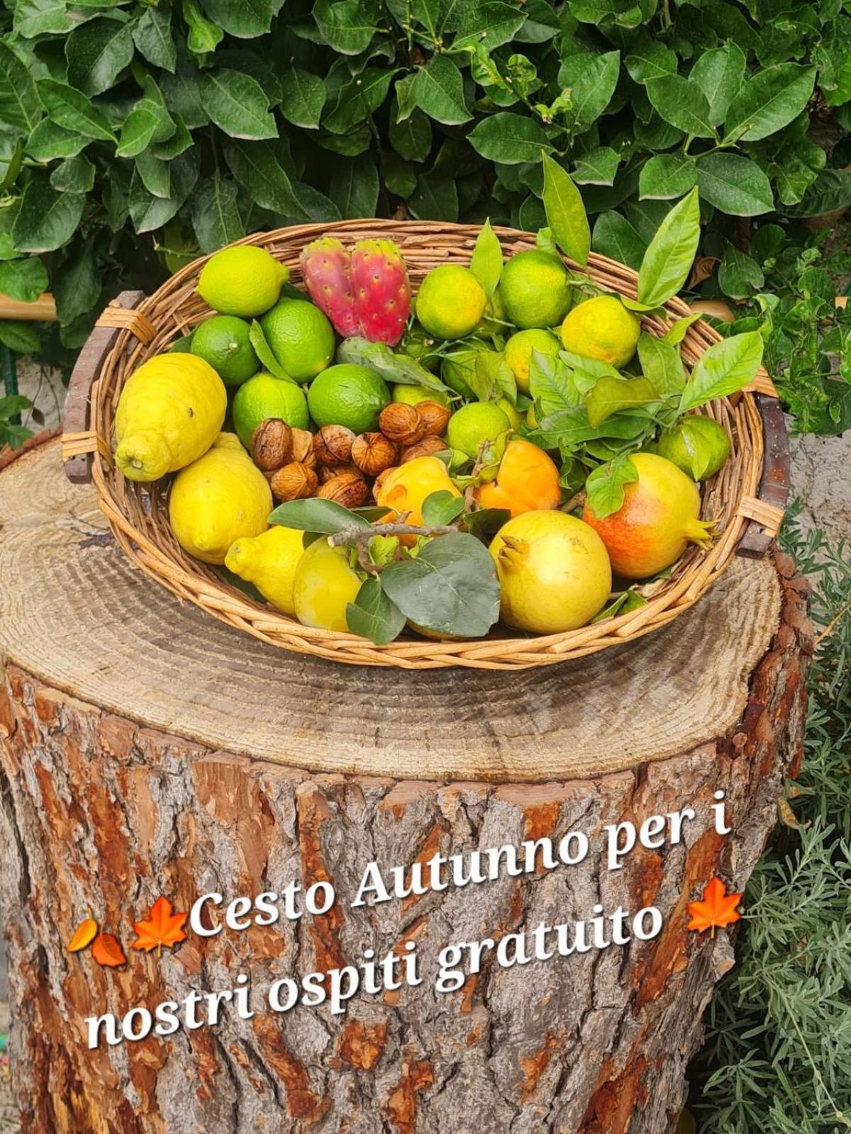 B&B Casa Vacanza Cioffi Vico Equense Luaran gambar
