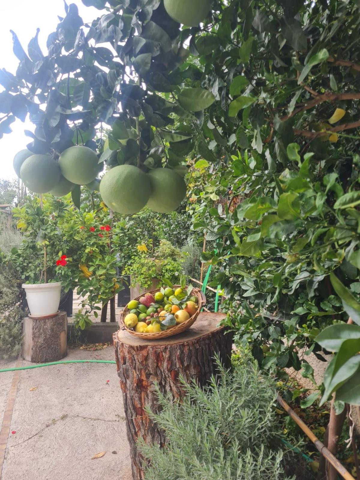 B&B Casa Vacanza Cioffi Vico Equense Luaran gambar